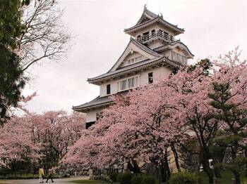 【173WIFI】日本 eSIM 吃到飽